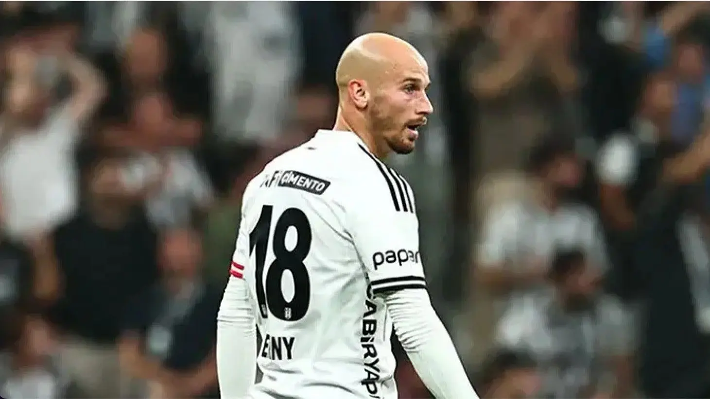 Vazgeçmediler, Cerny için döndüler